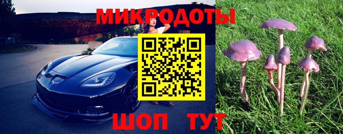 где купить наркоту  Галлюциногенные грибы Psilocybine cubensis  Вход с VPN  Зеленокумск 