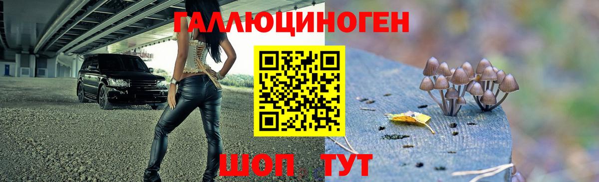 Псилоцибиновые грибы GOLDEN TEACHER Зеленокумск